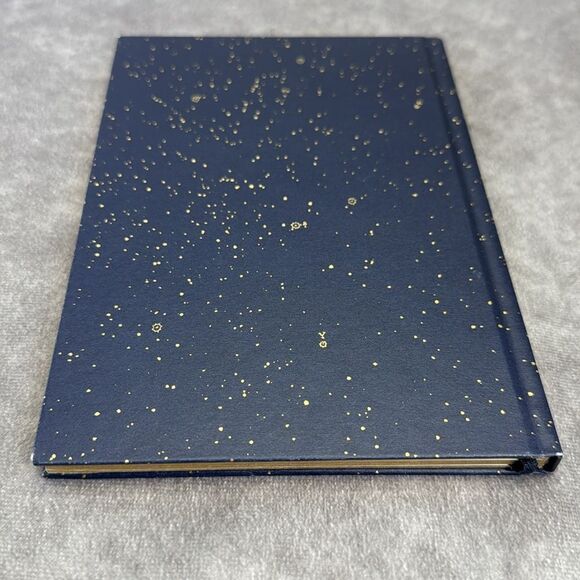 Dior Blue and Gold Notebook Limited Edition - Picture 6 of 10